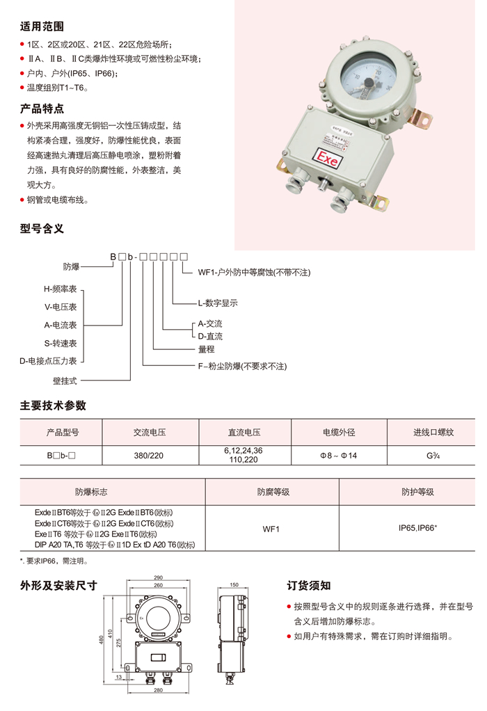 Bb51系列防爆仪表